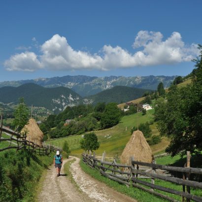 CARPATHIANS
